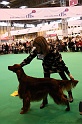 Crufts2011_2 098